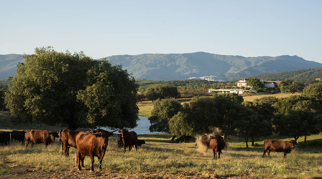 48 h escapada verano hotel rural caceres extremadura sierra de gata