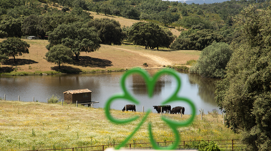 Estrella verde michelin 2025