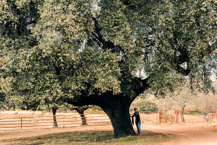 actividades en finca en extremadura