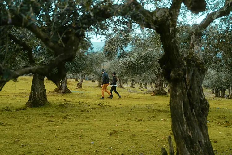 HCN hotel destino entorno