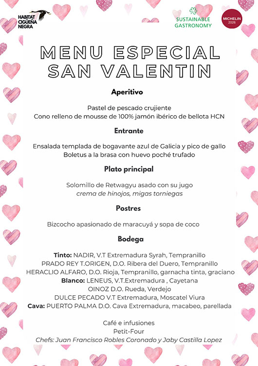 hcn menu san valentin web