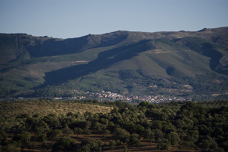 hcn planes otono eljas