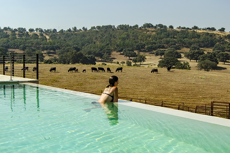 vacaciones naturaleza vistas piscina
