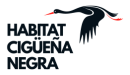 Cigüeña Negra