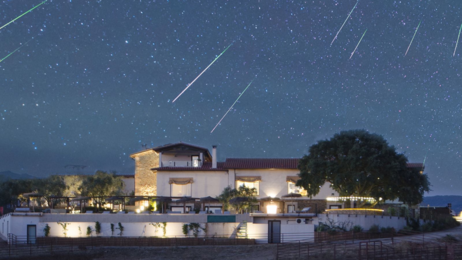 Dónde ver las Perseidas 2023 en Cáceres: ¡ven a Hábitat Cigüeña Negra!