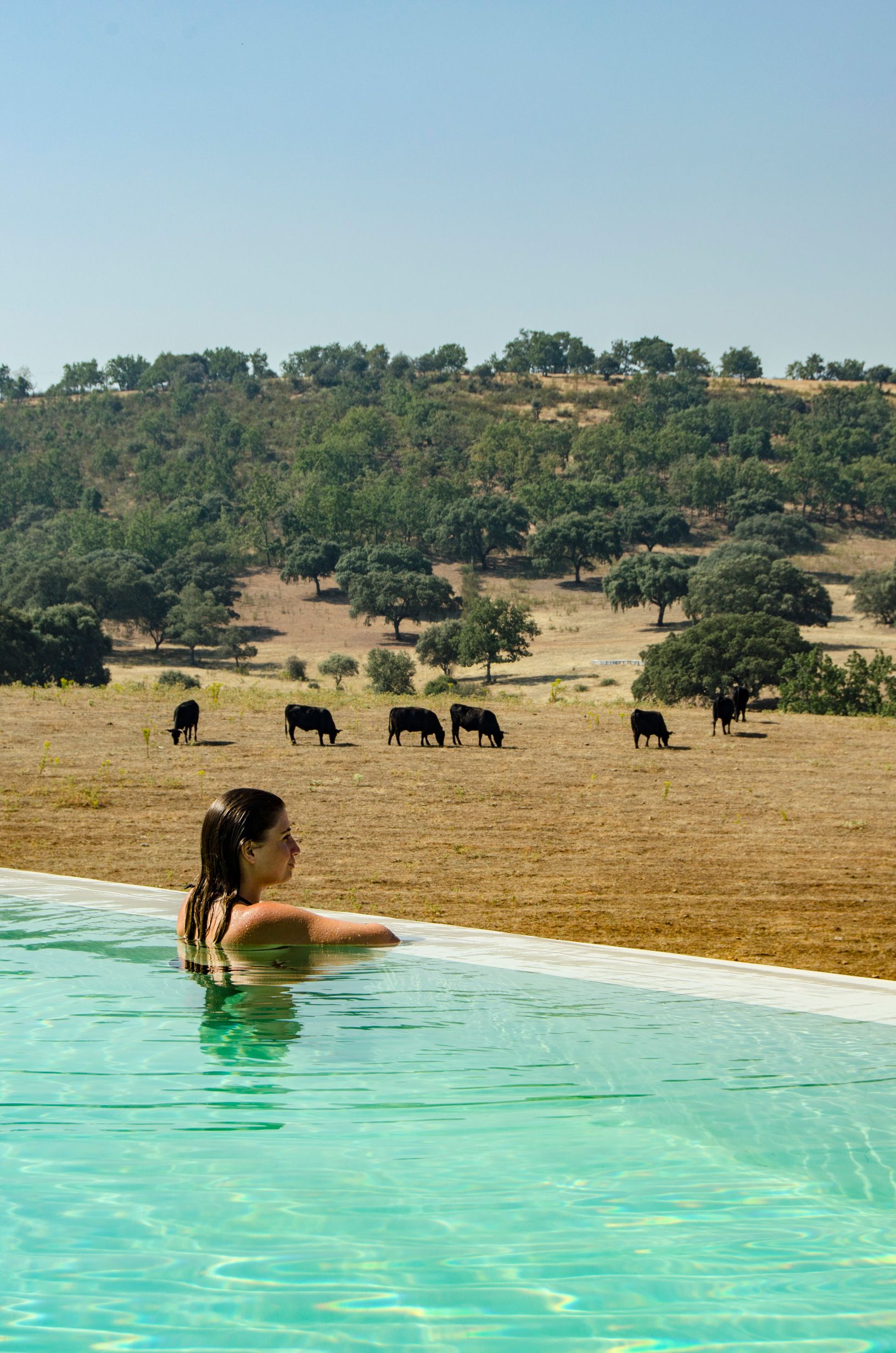 Habitat Cigüeña Negra