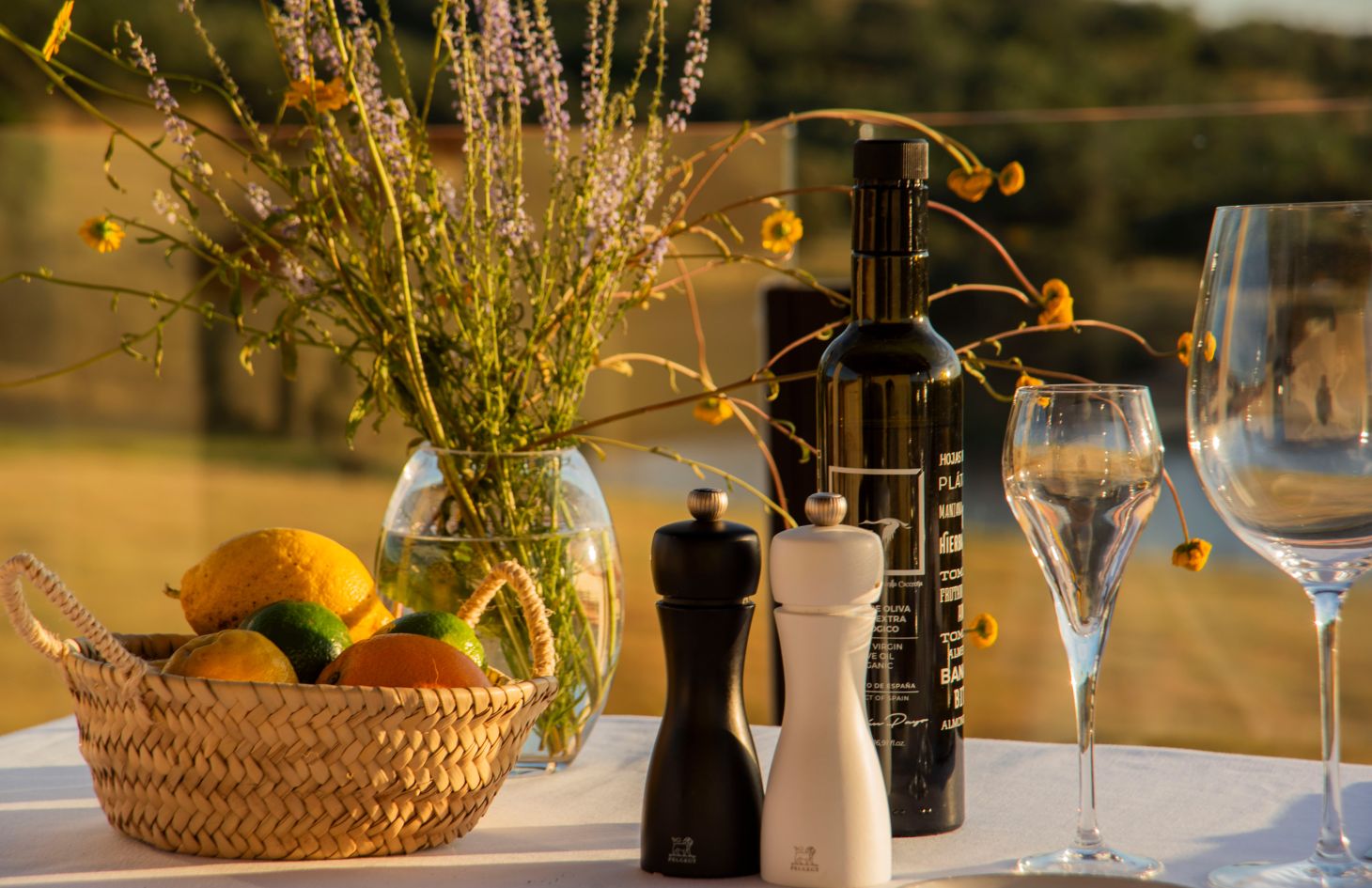 Terraza Habitat Cigüeña Negra