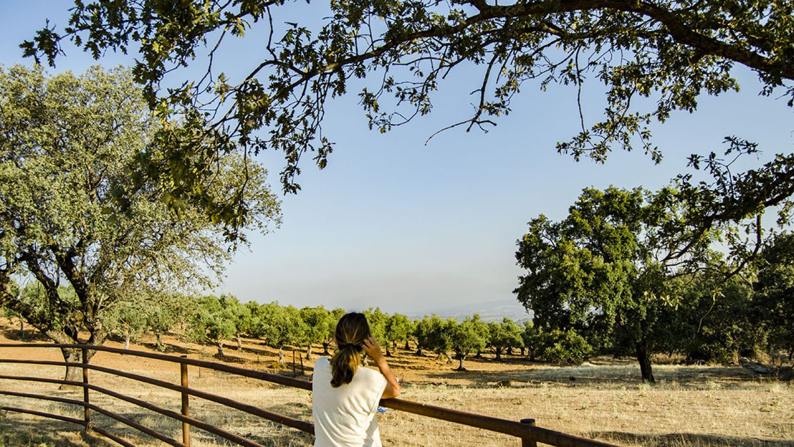 Descubre Sierra de Gata en primavera: planes y propuestas