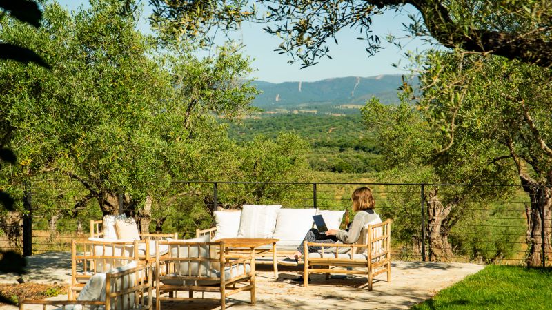 Comedor del restaurante