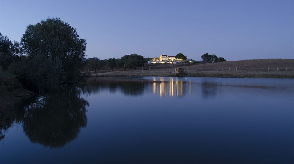 2023, un año emocionante repleto de sorpresas