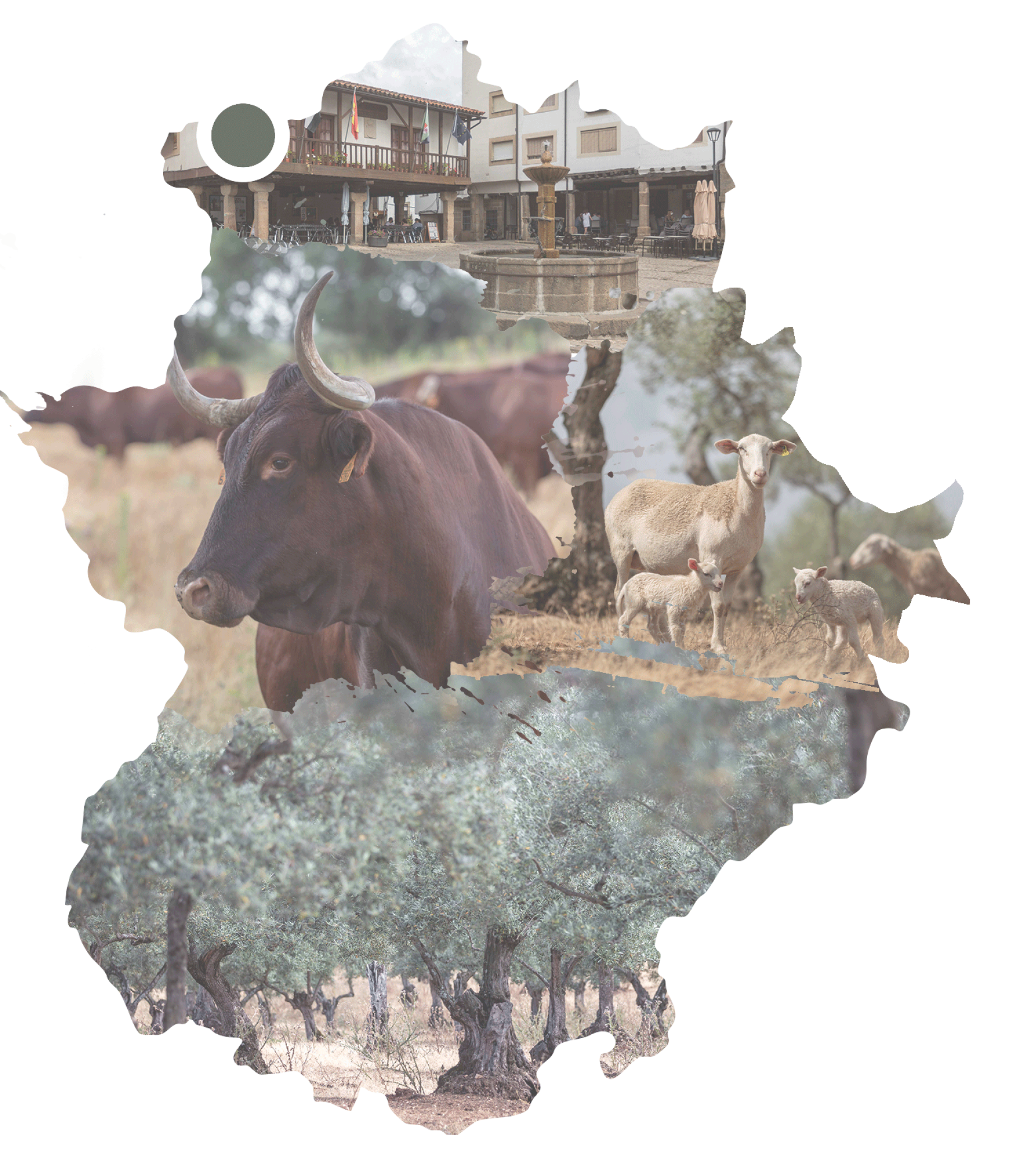 Mapa Finca Cigüeña Negra